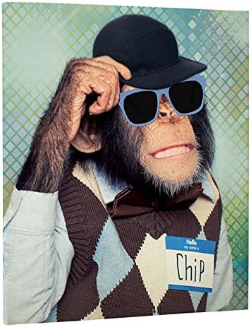 Téléchargement gratuit Images Classeur Souple A4 Animaux Humour Singe 4 Anneaux Dos 4cm Polypro le plus cool par