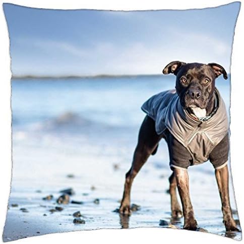 ArtsLifes Dog at the Beach - Throw Pillow Cover Case