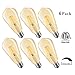 ZYCYLIGHT Led Edison Bulbs,Dimmable 8w Led Bulbs, ST64(ST21) Vintage Edison Antique LED Light Bulbs, 750 Lumens, 2700K Warm White, E26 Led Light Bulbs, Amber Glass Cover,6 Pack