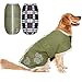 Reversible Dog Winter Clothes Waterproof Reflective Cold Weather Jacket Large Green by PUPTECK