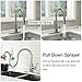 Wasserrhythm Stainless Steel Kitchen Sink Faucet with Pull Down Spray Head Single Lever Brushed Nickel with Deck Plate