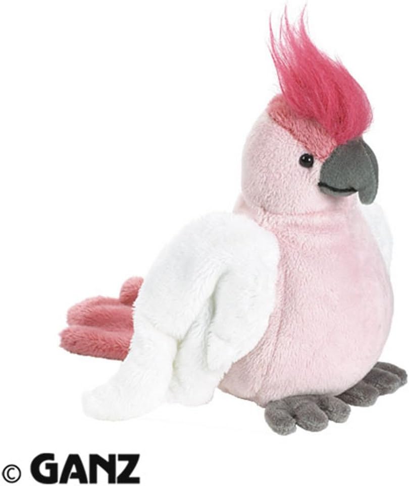 webkinz parrot