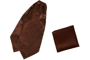 Dan Smith Solid Party Day Cravat Feel Silk Cravat Tie Ascot Assorted Pack Plain