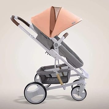 portable buggy