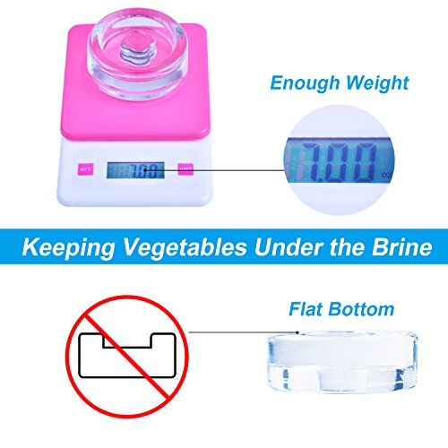 3 Fermentation+Vegetables+Submerged+Fermenting+FDA+Apporved