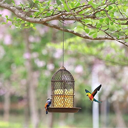 Amazon Com Petrip Bird Feeders For Outside Wild Bird Feeder For
