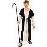 Forum Novelties boys Forum Biblical Times Shepherd Costume