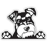 2pcs Cute Miniature Schnauzer Decal 5.91"x4.33", Hide Scratches Sticker for RV, Laptop, Rear Windshield, A Gift for Dog Lovers |#DK339