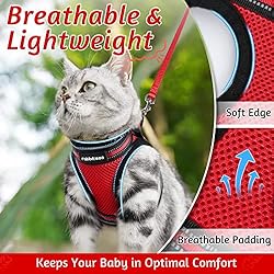 rabbitgoo Cat Harness and Leash Set for Walking