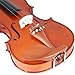 Cecilio 3/4 CVN-200 Rosewood Fitted Solid Wood Violin