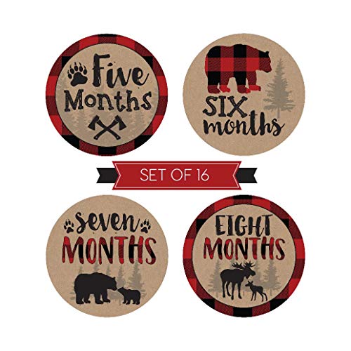 16 Woodland Bear Baby Milestone Stickers, Rustic Winter 12 Monthly Photo Picture Props For Boy or Girl Infant Onesie, 1st Year Months Belly Decal, Scrapbook Memory Registry Gift Lumberjack Shower Idea