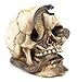 Bellaa 26607 Skeleton Cobra Snake Habitat Skull Figurine Statue Sculpture Halloween