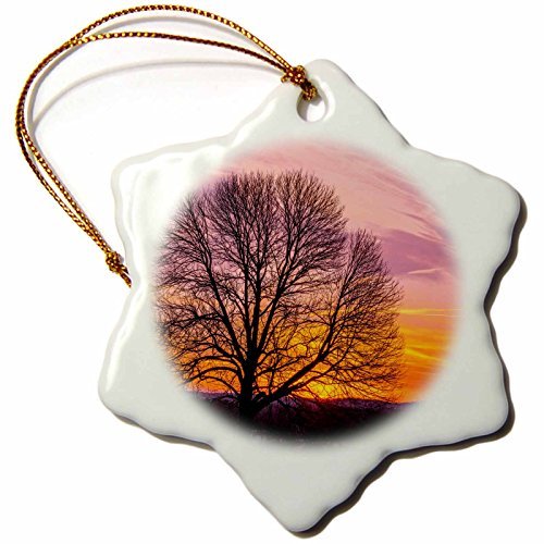 Glasses King Of Prussia TOPRated Best Glasses King Of Prussia