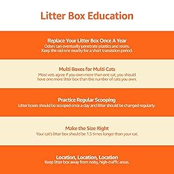 Amazon Basics Nonstick Top-Entry Cat Litter Box