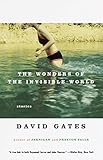 The Wonders of the Invisible World (Vintage Contemporaries) by David Gates