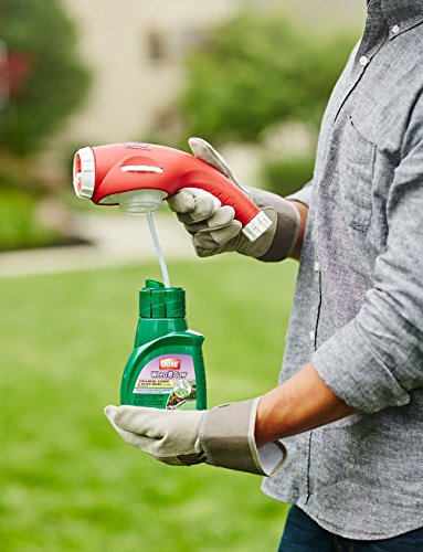 4 Ortho+Chickweed+Clover+Concentrate+16+Ounce