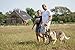Leatherberg Leather Dog Training Leash - Brown 6 Ft Long x 3/4
