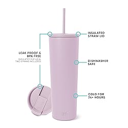 Simple Modern Insulated Tumbler with Lid and Straw