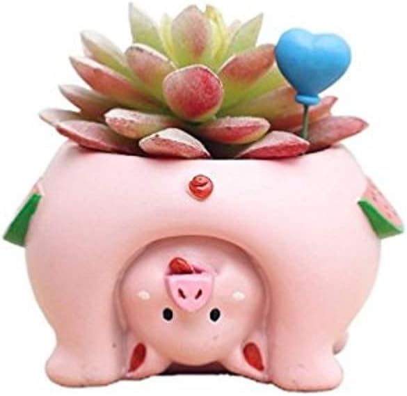 Youfui Cute Succulent Flowerpot for Home Decoration Gift (Pig), Middle