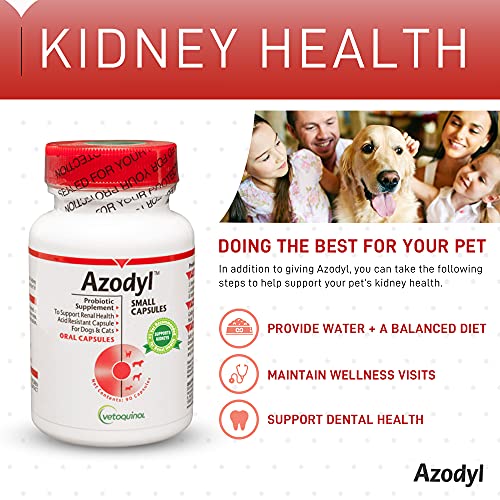 Vetoquinol Azodyl for Dogs and Cats, Helps Support Normal Kidney