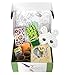 Kids Gardening Tools, Gardening Gloves with Gardening Activity Box. Seedling Planters, STEM Guide, Gardening Activities by ROCA Toys Learning Toys