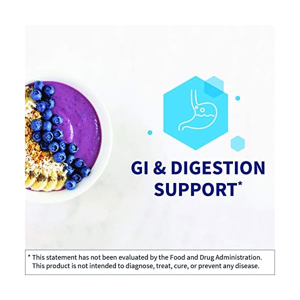 Klaire Labs VitalZymes Complete Digestive Enzymes Helps Aid Digestion and Breakdown Proteins