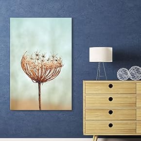 Canvas Wall Art - Closeup of a Dead Dandelion - Giclee Print Gallery Wrap Modern Home Art Ready to Hang - 12x18 inches
