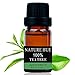 Nature Hue - Tea Tree Essential Oil 10 ml, 100% Pure Therapeutic Grade, Undiluted