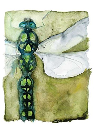 Dragonfly Notecards (Heron Dance Watercolor Notecards)