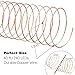 Homestarry HS-SL-010 Dimmable String Lights Pro, 240 LED's Copper Wire, with Wireless Handheld Remote Control, 12V Power Adapter, 40-Feet - Warm White