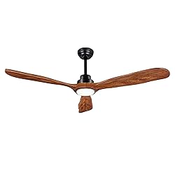 Ceiling Fans with Lights and Remote,60 Inch Unique