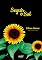 Livro Seguir o Sol