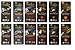 Endangered Species Chocolate Variety Pack (Pack of 12) ........(Dark with Blueberry, Dark Chocolate with Blackberry Sage, Grizzly Dark Raspberry, Chimpanzee Dark Chocolate, Panther Extreme Dark Chocolate, Bat Dark intense)