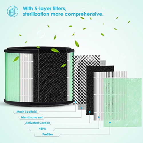 PARTU Air Purifier- The Most Silent Hepa Air Purifiers for Home- Removes 99.97% Smoke, Allergies, Dust, Pollen, Pet Dander, Mold, No Ozone (Available for California)