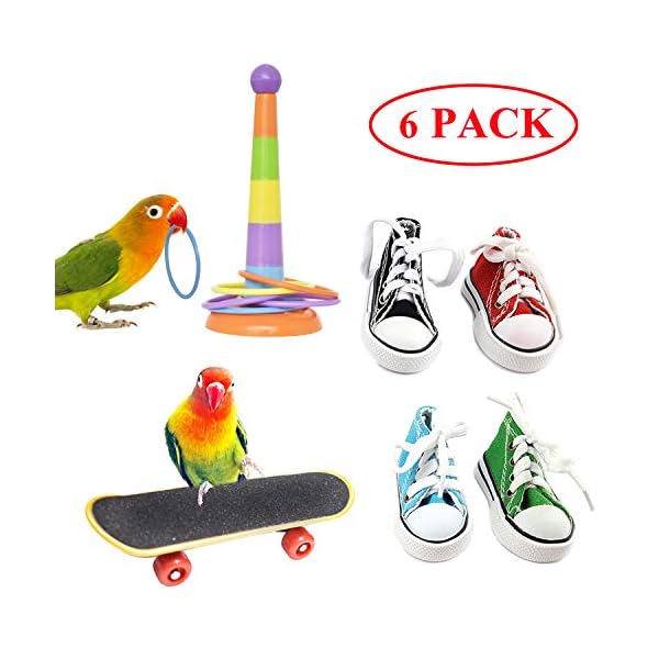 parrot foot toys