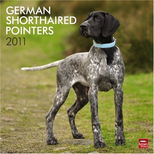 german shorthaired pointer tail docking
