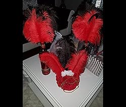 Sowder 10pcs Ostrich Feathers