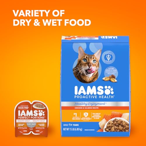 IAMS HEALTHY ENJOYMENT DRY CAT FOOD CHICKEN & SALMON RECIPE, 3 LB. BAG