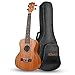 Afuaim Ukulele Soprano 21 Inch Mahogany Uke AUM-21M Ukulele Pack with Gig Bag