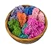 Bister 6.5oz Reindeer Moss Preserved 5 Assorted Colors for Fairy Gardens, Gift Packing, Dressing Potted Plants and More Crafts