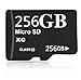 256GB Class 10 Micro SDHC Memory Card with SD Adapter (256GB)
