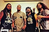 O-7369 Pantera Group Music Poster - Rare New - Image Print Photo