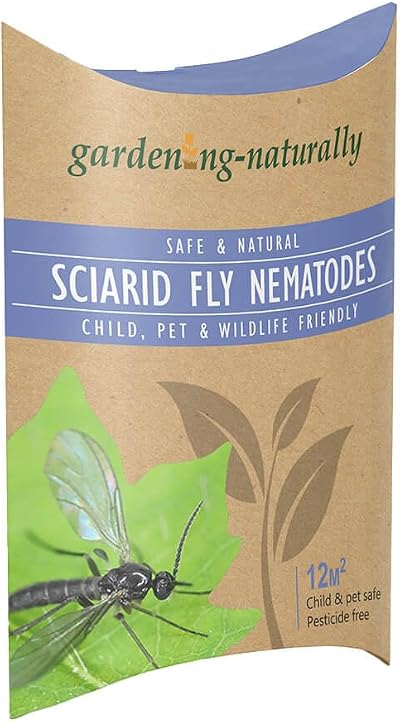 Gardening Naturally Sciarid Fly Nematodes Fungus Gnat Control 12 sqm