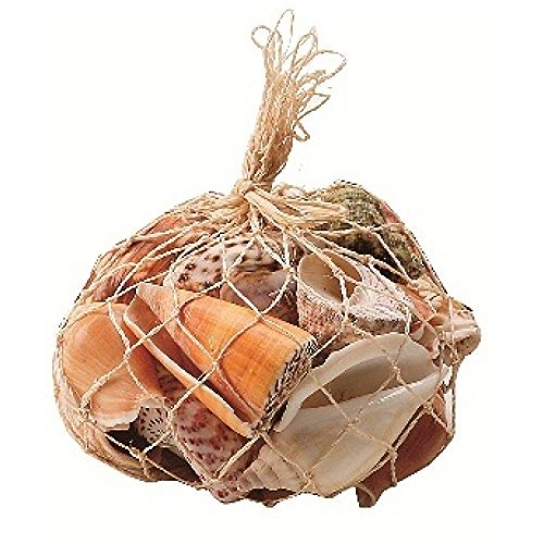 Assorted Seashells 300g Bag Nautical Sea Shell Seaside Decor Shabby Chic approximately 35 shells