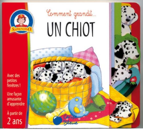 Un  chiot