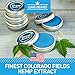 Sciatica Pain Relief Cream Salve - Provides Freeze Pain Relief - 4500 mg Hemp Cream - Made in USA - with Arnica and Menthol - Nerve Pain Relief for Back Pain, Neck Pain, Knee Pain, Foot Pain