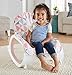 Fisher-Price Infant-to-Toddler Rocker, Pink Windmill