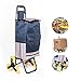 LUCKUP Folding Shopping Cart, Stair Climbing Cart Grocery Laundry Utility Cart with Wheel Bearings Stainless Steel Frame (37“x16”x14
