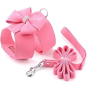 Zunea Set di imbracatura e guinzaglio per gatto/cane piccola taglia scamosciato pettorina morbido con fiocco e strass…