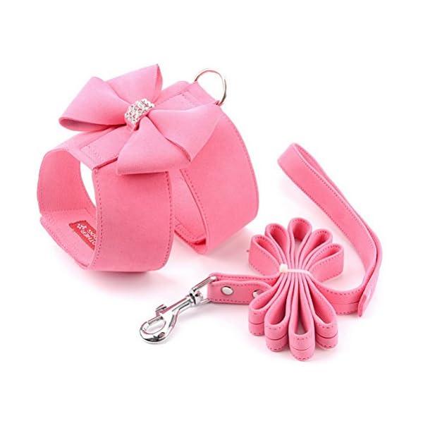 Zunea Set di imbracatura e guinzaglio per gatto/cane piccola taglia scamosciato pettorina morbido con fiocco e strass…